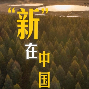 微信分享图